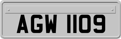 AGW1109