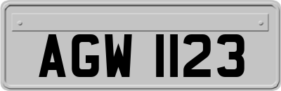 AGW1123