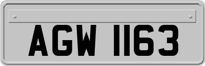 AGW1163