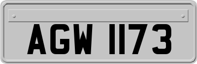 AGW1173