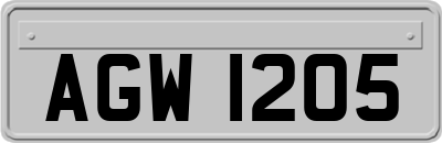 AGW1205
