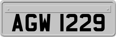 AGW1229