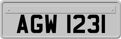 AGW1231