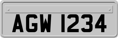 AGW1234