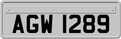 AGW1289