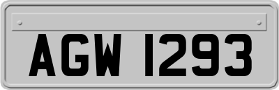 AGW1293