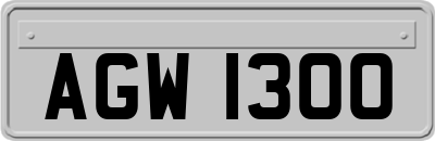 AGW1300