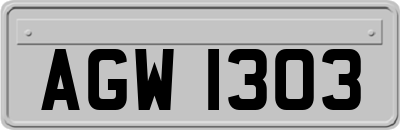 AGW1303