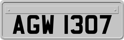 AGW1307