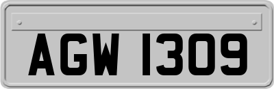 AGW1309