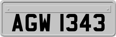 AGW1343