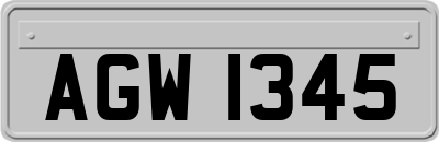 AGW1345