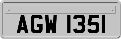 AGW1351