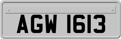 AGW1613