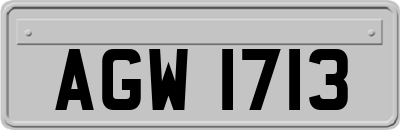 AGW1713