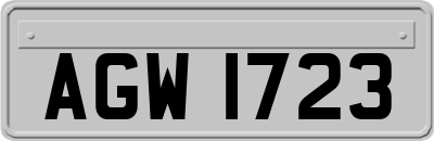AGW1723
