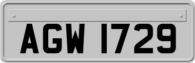 AGW1729