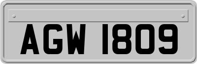 AGW1809