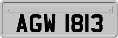 AGW1813