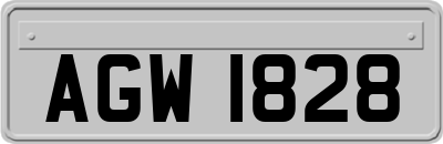 AGW1828