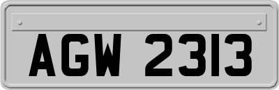 AGW2313