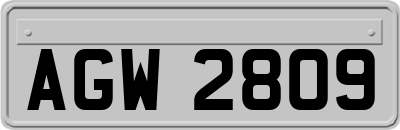 AGW2809