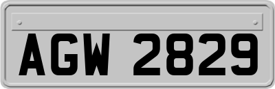 AGW2829