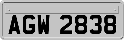 AGW2838
