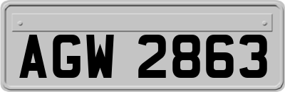 AGW2863