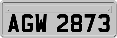 AGW2873