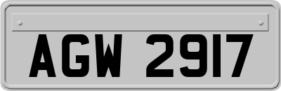 AGW2917