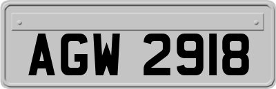 AGW2918