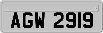 AGW2919