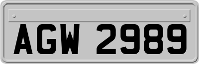 AGW2989