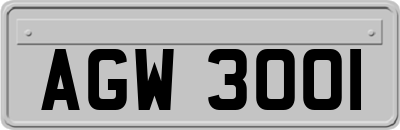 AGW3001