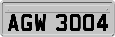 AGW3004