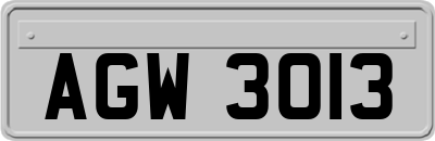 AGW3013