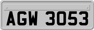 AGW3053