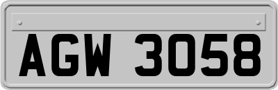AGW3058