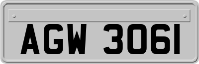 AGW3061