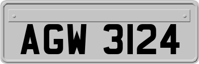AGW3124