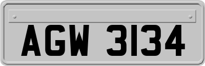 AGW3134
