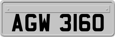 AGW3160