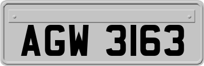 AGW3163