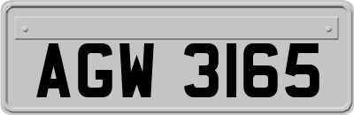 AGW3165
