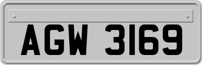 AGW3169