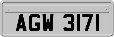 AGW3171