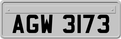 AGW3173