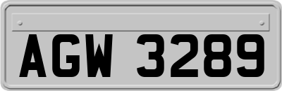 AGW3289