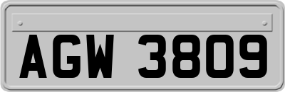 AGW3809